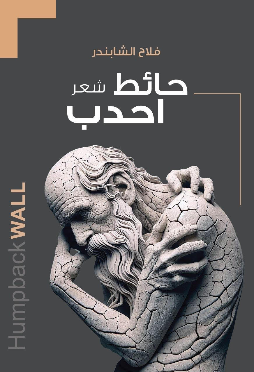 Oversized Cotton Blouse